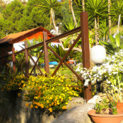 B&B Villa Beatrice Brancaleone - giardino